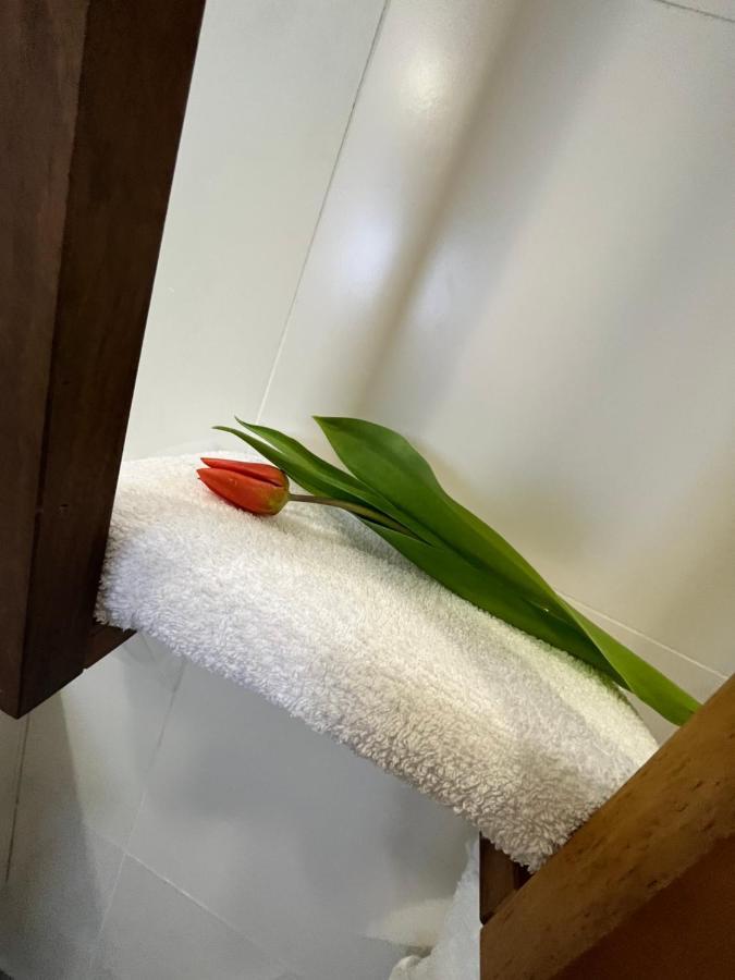 Apartma Ksela Mala Nedelja Екстериор снимка