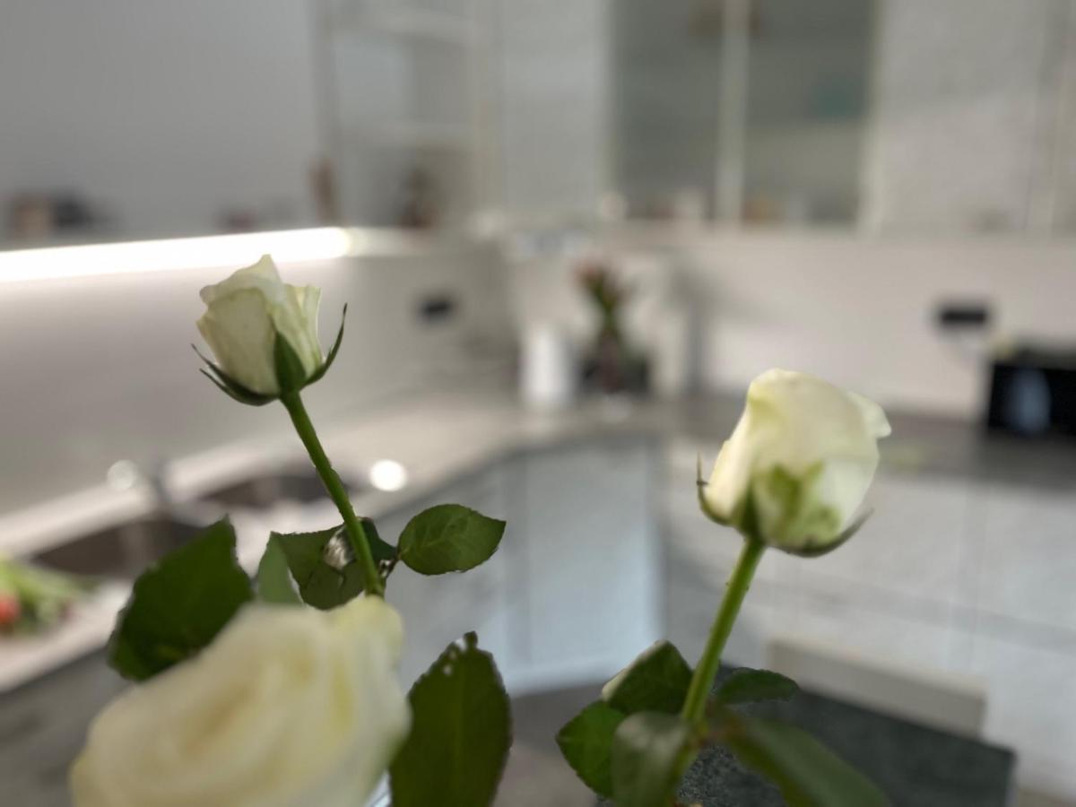 Apartma Ksela Mala Nedelja Екстериор снимка